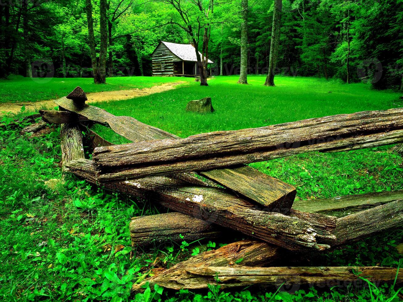 Forest House Surrounded By Nature Background photo