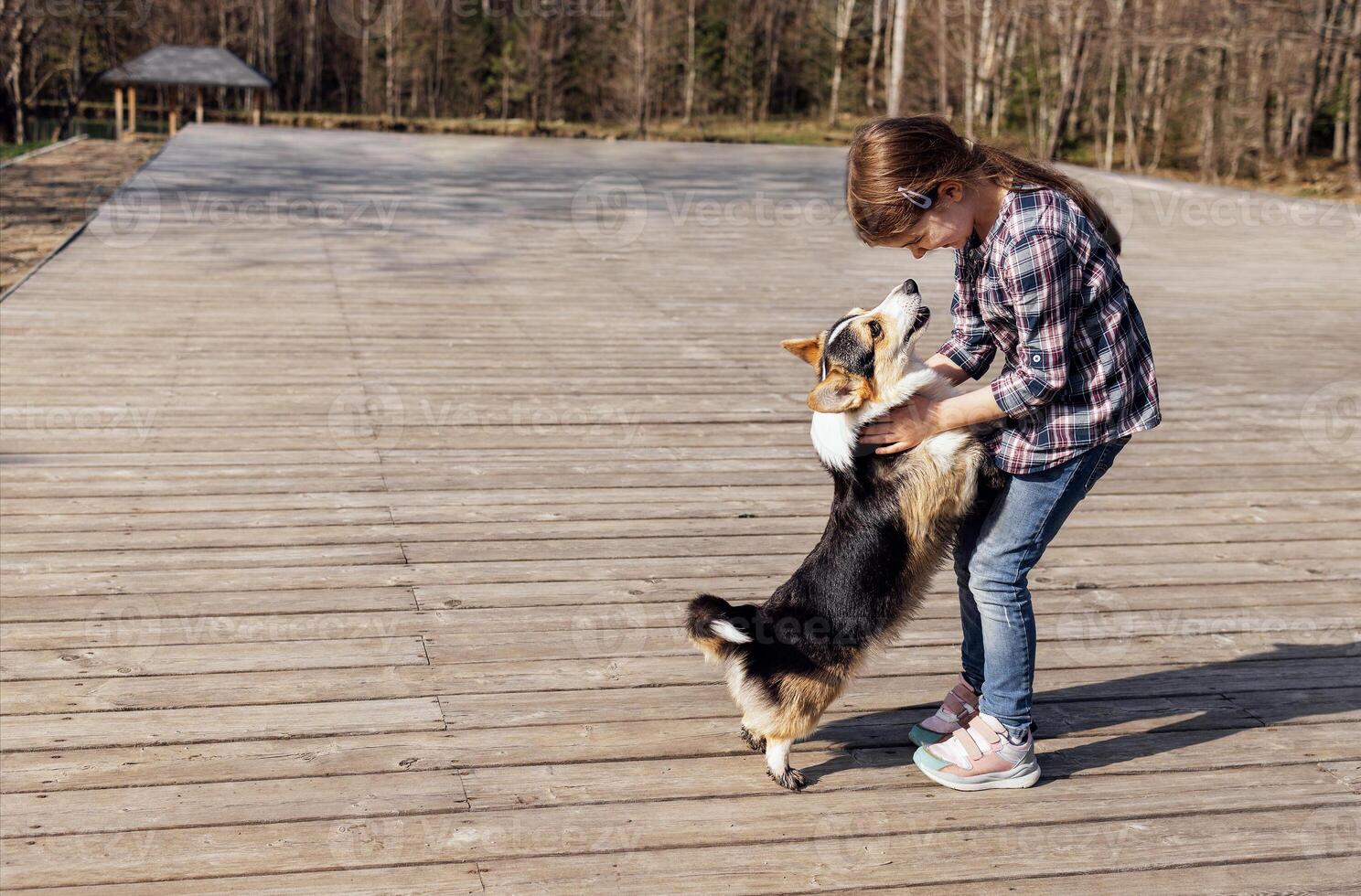 A little girl hugs her corgi puppy on the street. A cute kid in casual clothes is laughing and playing with her dog on a wooden platform. photo