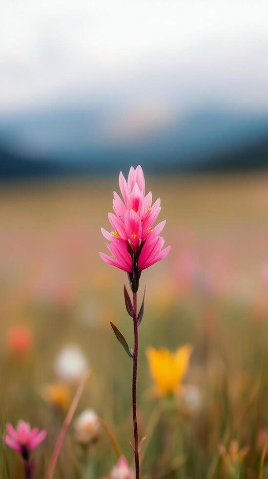 Bright pink flowers bloom in a vast meadow under a clear blue sky with distant mountains photo