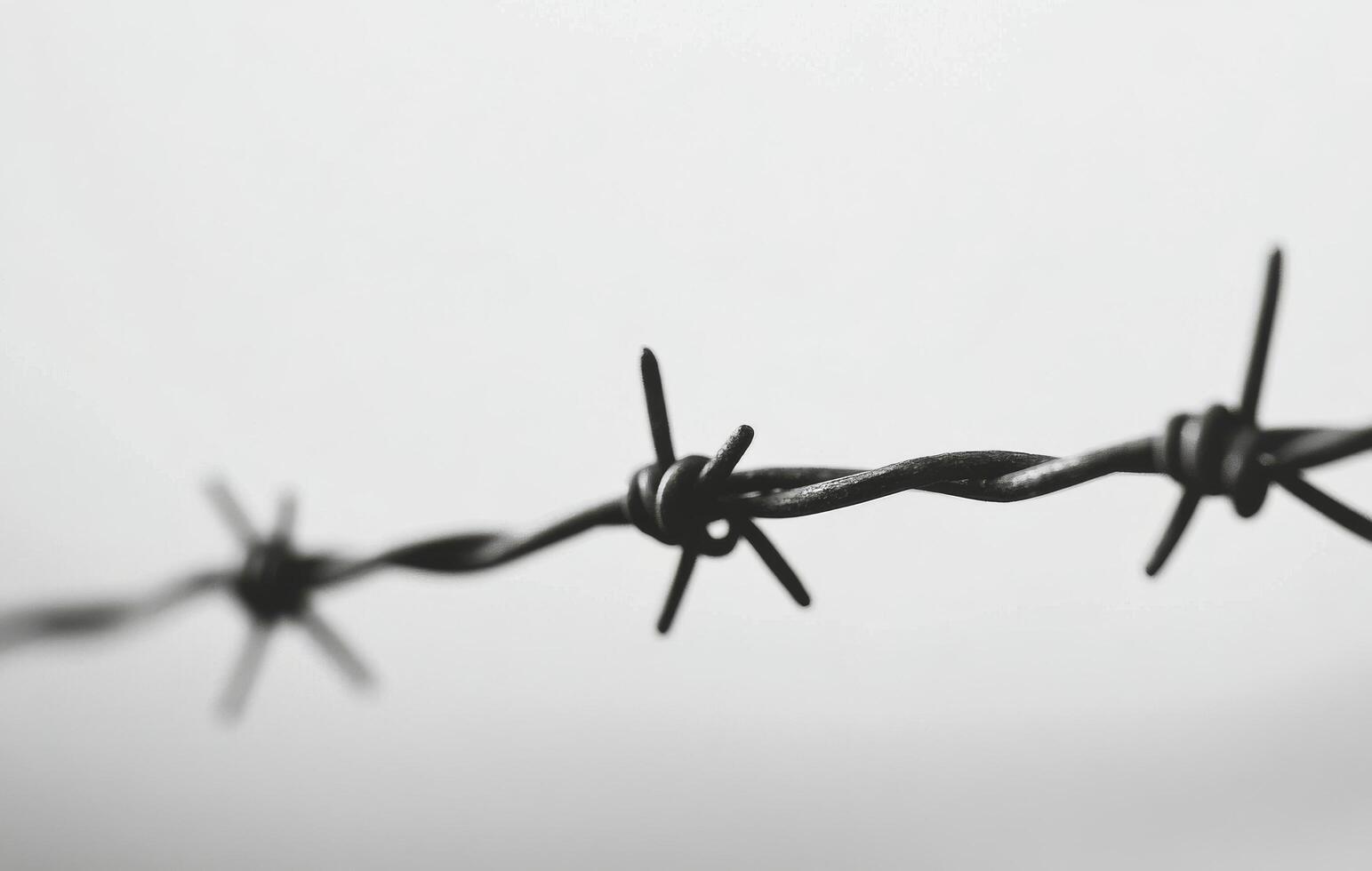 Close up view of barbed wire against a blurred background highlighting boundaries and barriers photo