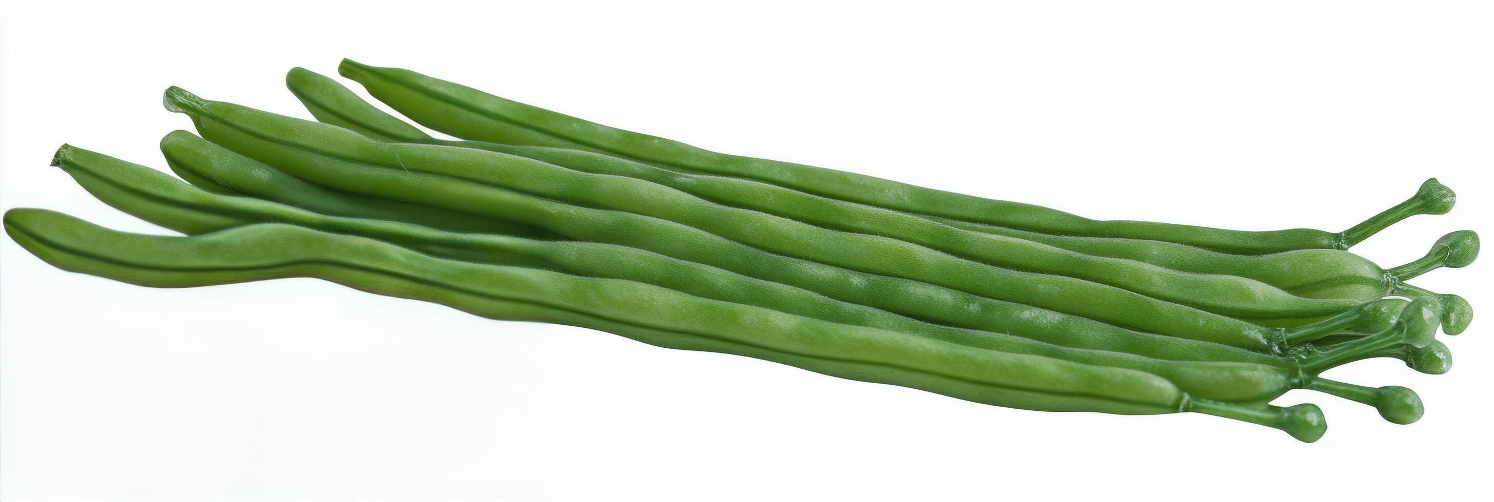 Fresh green beans arranged neatly on a white surface for cooking or presentation photo