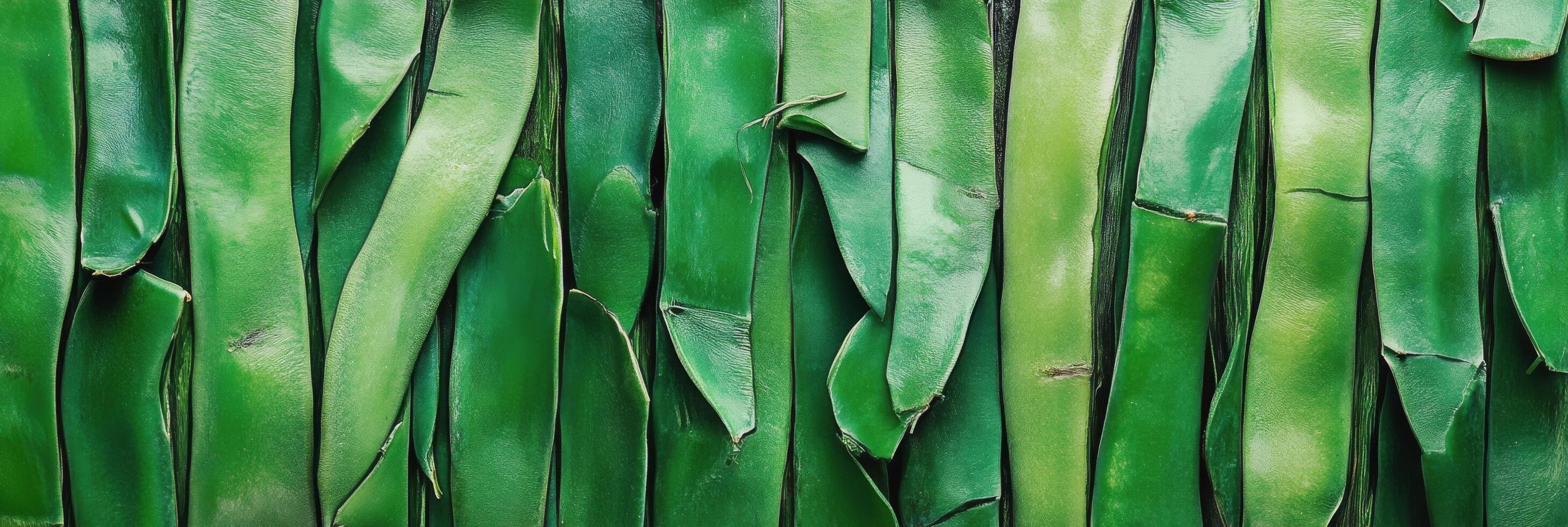 Fresh green beans arranged neatly on a white surface for cooking or presentation photo