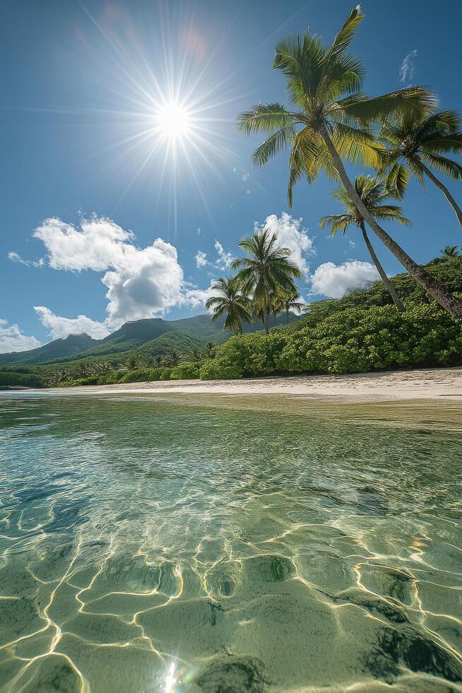 Bright sunlight illuminates a serene tropical beach with clear water and palm trees photo