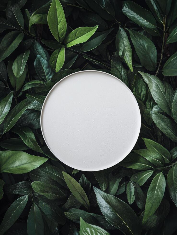 Circular blank space surrounded by fresh green leaves on a light background in a creative setting photo