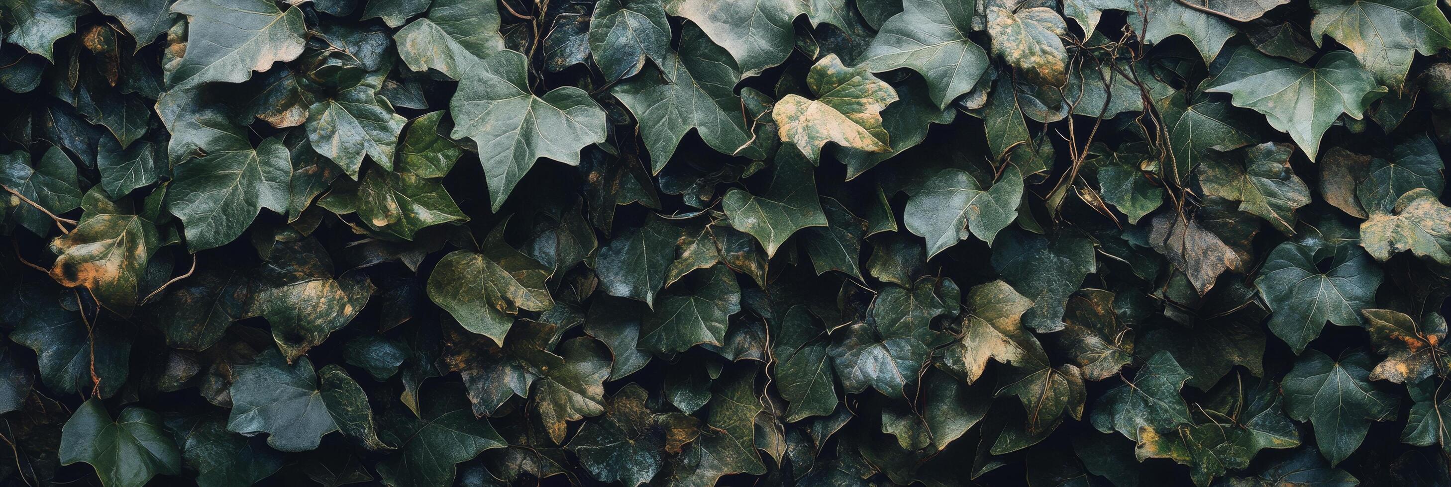 Lush green leaves creating a vibrant textured wall in a peaceful environment photo