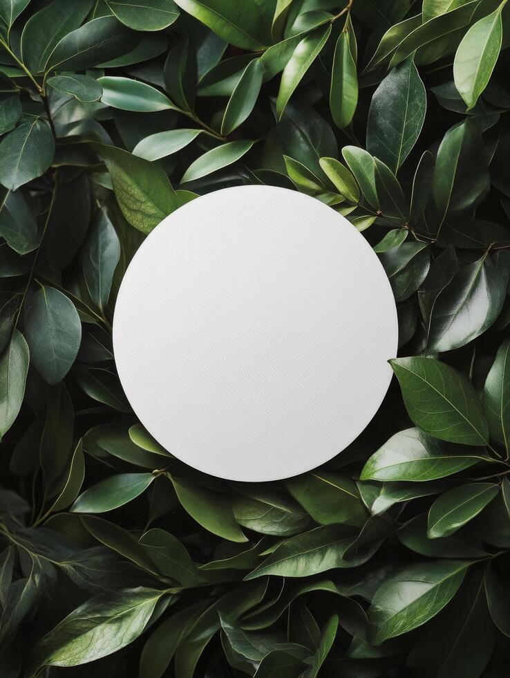 Circular blank space surrounded by fresh green leaves on a light background in a creative setting photo