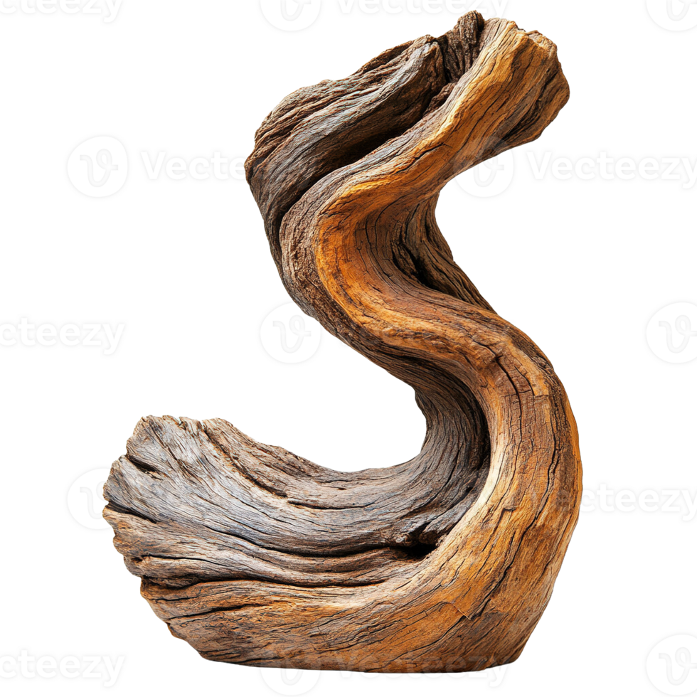Dynamic Driftwood Shapes Adding an Earthy and Coastal Vibe png
