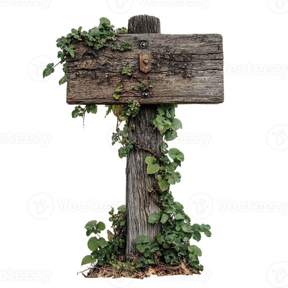 Old Wooden Directional Sign with Climbing Ivy Isolated on Transparent Background png