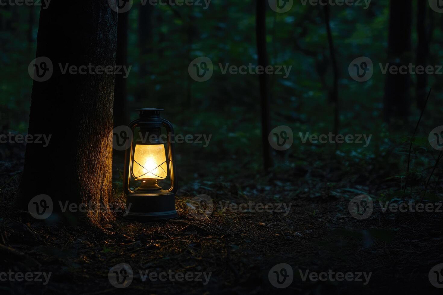 Illuminated Lantern in a Dark Forest photo