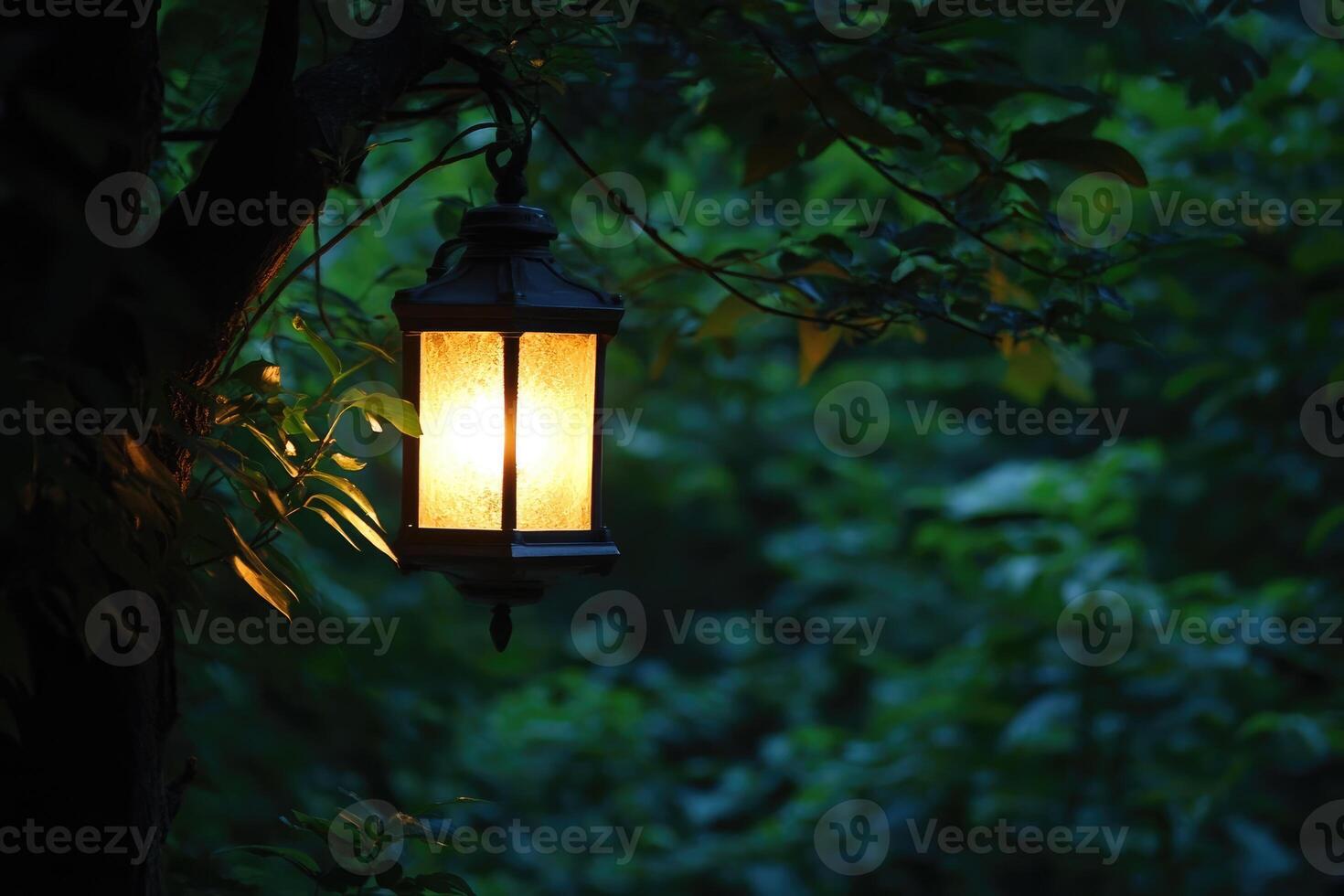 A Lit Lantern Hanging From a Tree Branch in a Forest photo