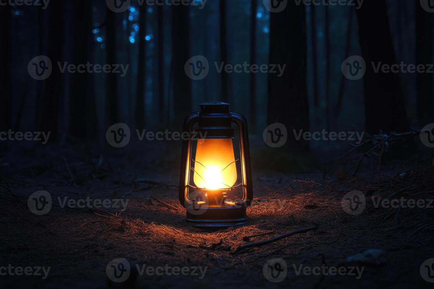 A Single Lantern Illuminates a Dark Forest Path photo