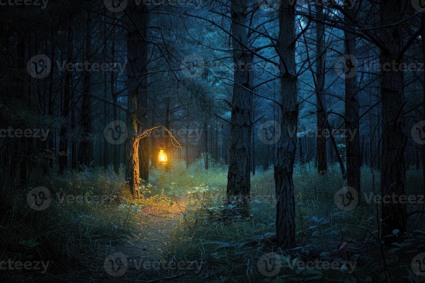A Single Lantern Illuminates a Dark Forest Path photo