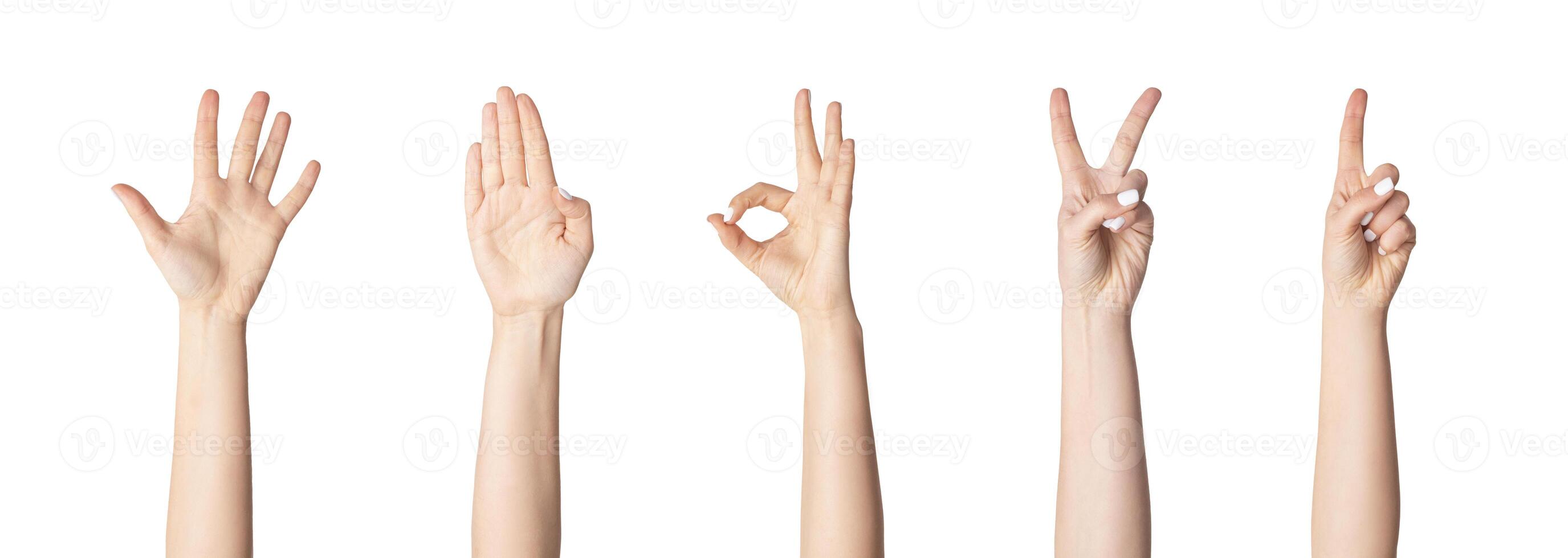 Collage with unrecognizable woman showing various gestures isolated on white, closeup. Panorama photo