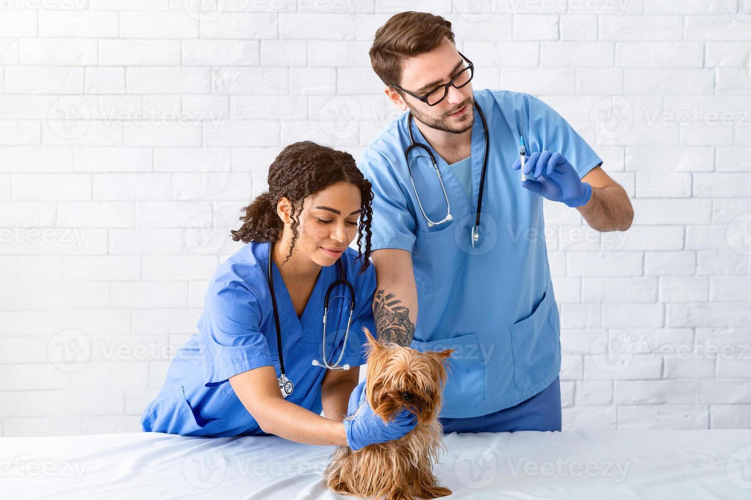 Professional vet with assistant vaccinating small dog in animal clinic, blank space for text photo
