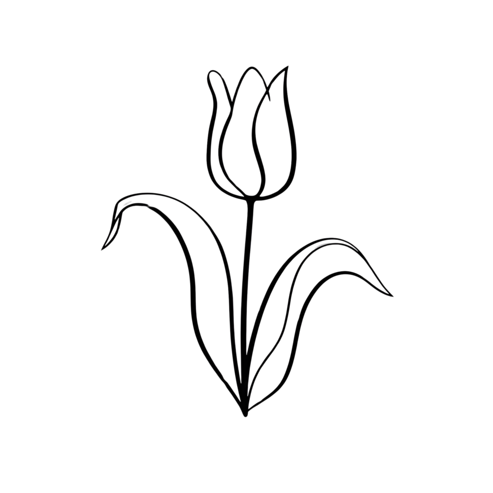 A drawing flower png