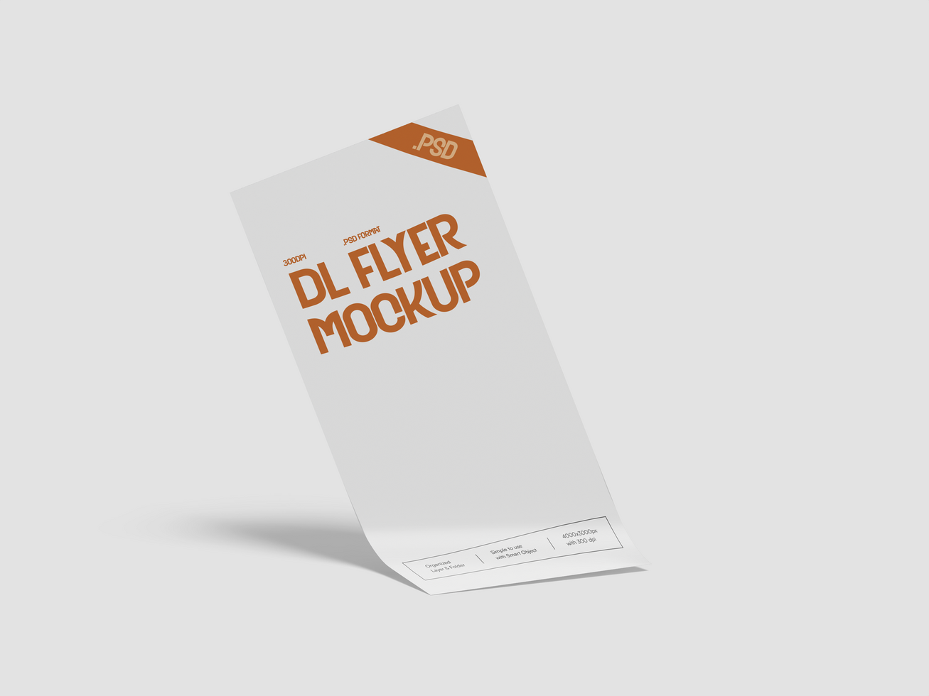 DL Flyer Mockup 3D Render psd