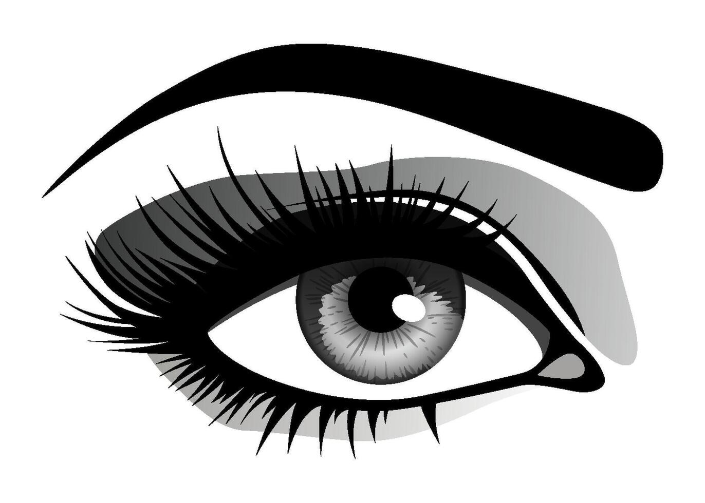Beautiful female eye with big lashes and eyebrow. Eyeliner glamour makeup. icon vector