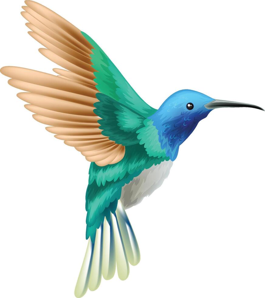 Bird design idea vector