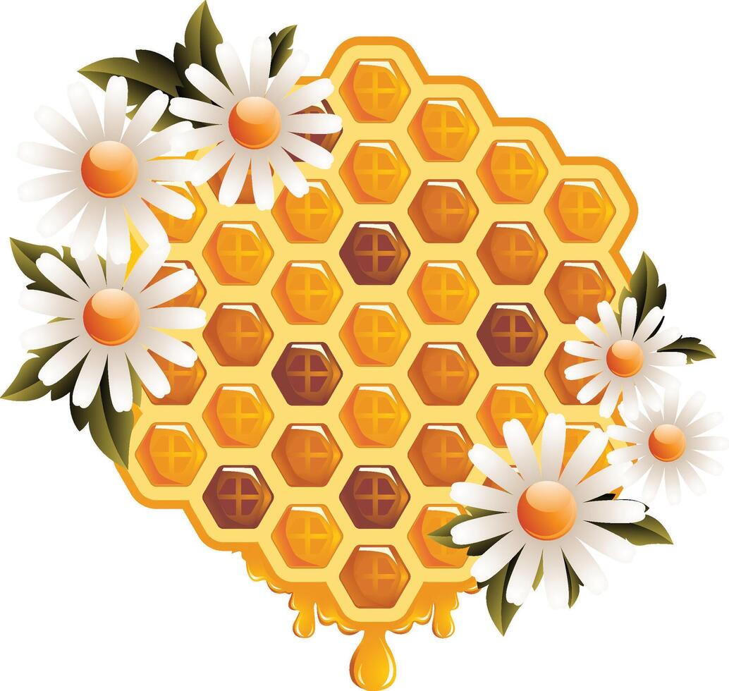 honey design idea vector