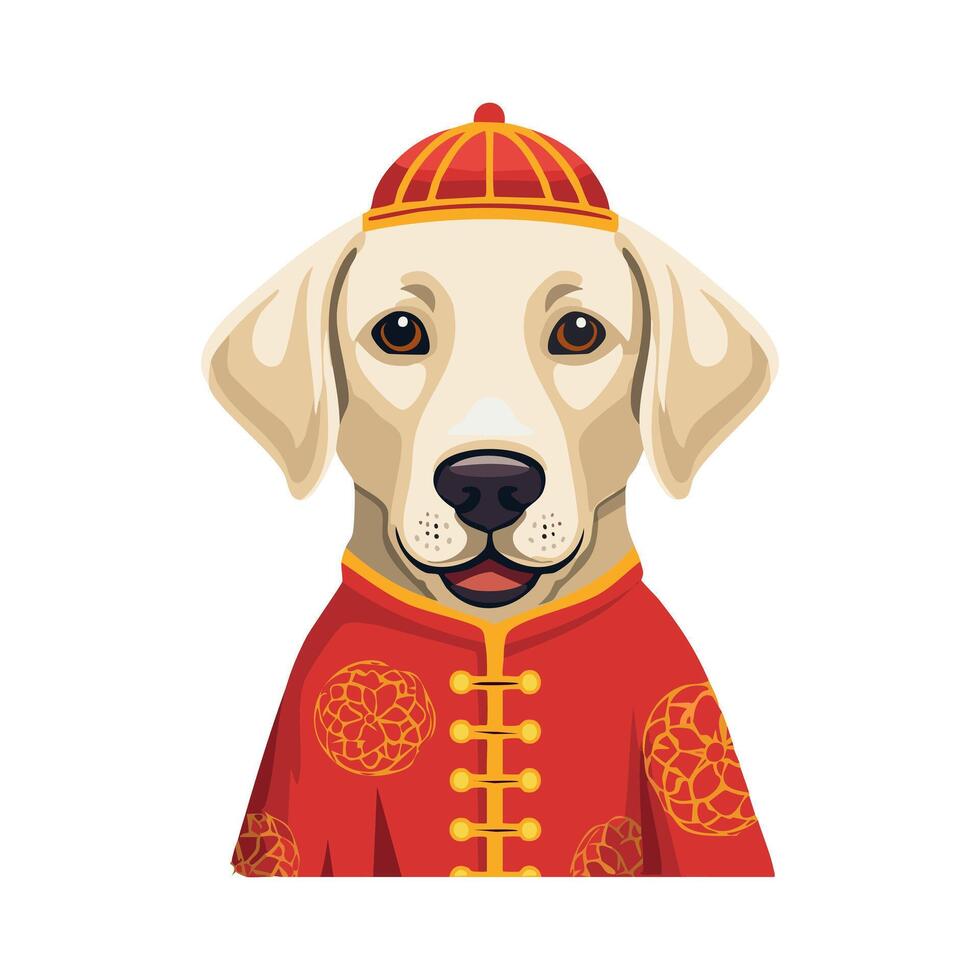 Cute Labrador Retriever with traditional Chinese clothing vector