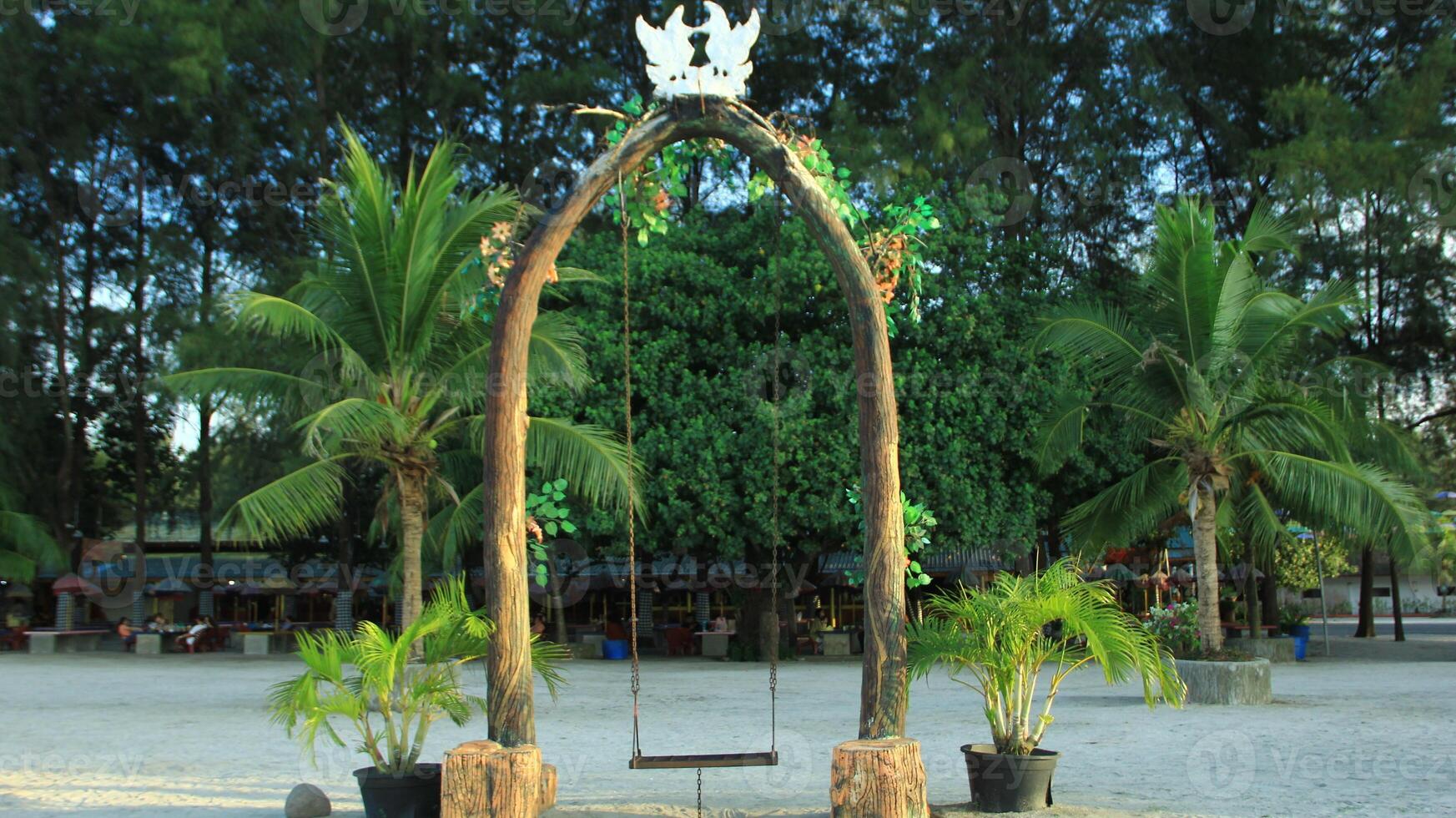 swing on the beach with a backdrop of trees and white sand photo