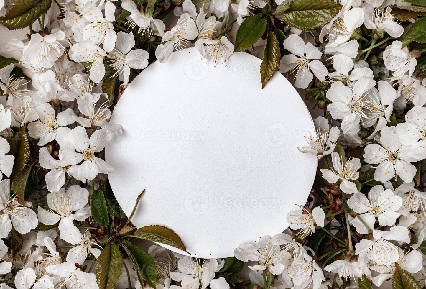 Round banner for text surrounded by white leaves of flowering cherry and green leaves. Spring concept and copy space for congratulations or holiday sale. photo