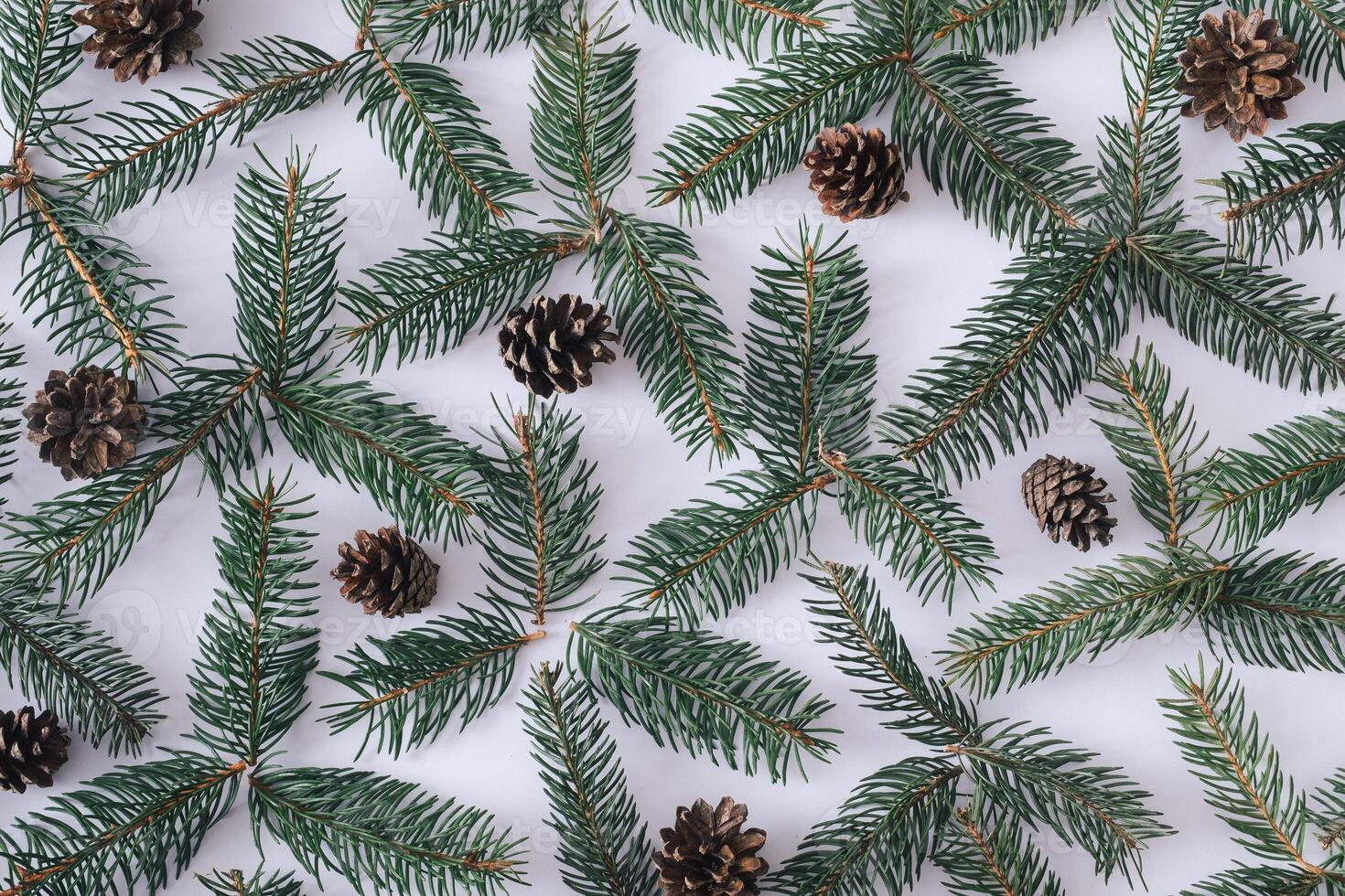 Christmas background of fresh pine branches and cones photo
