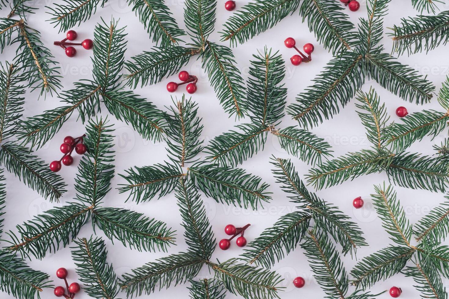 Christmas background of pine branches with red berries photo