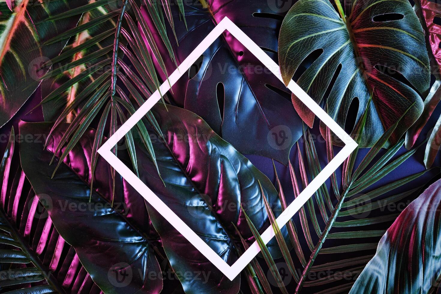 Creative background with moody tropical plants and white frame for copy space. Illuminated reflection jungle for poster. photo