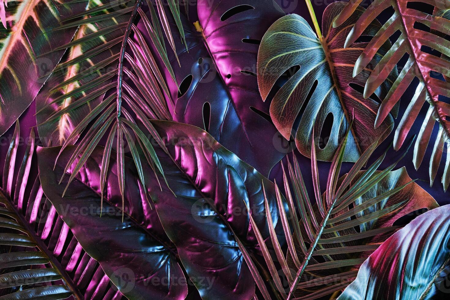 Modern dramatic moody jungle in neon illuminated retro lighting. Exotic leaves in fluorescent light. photo