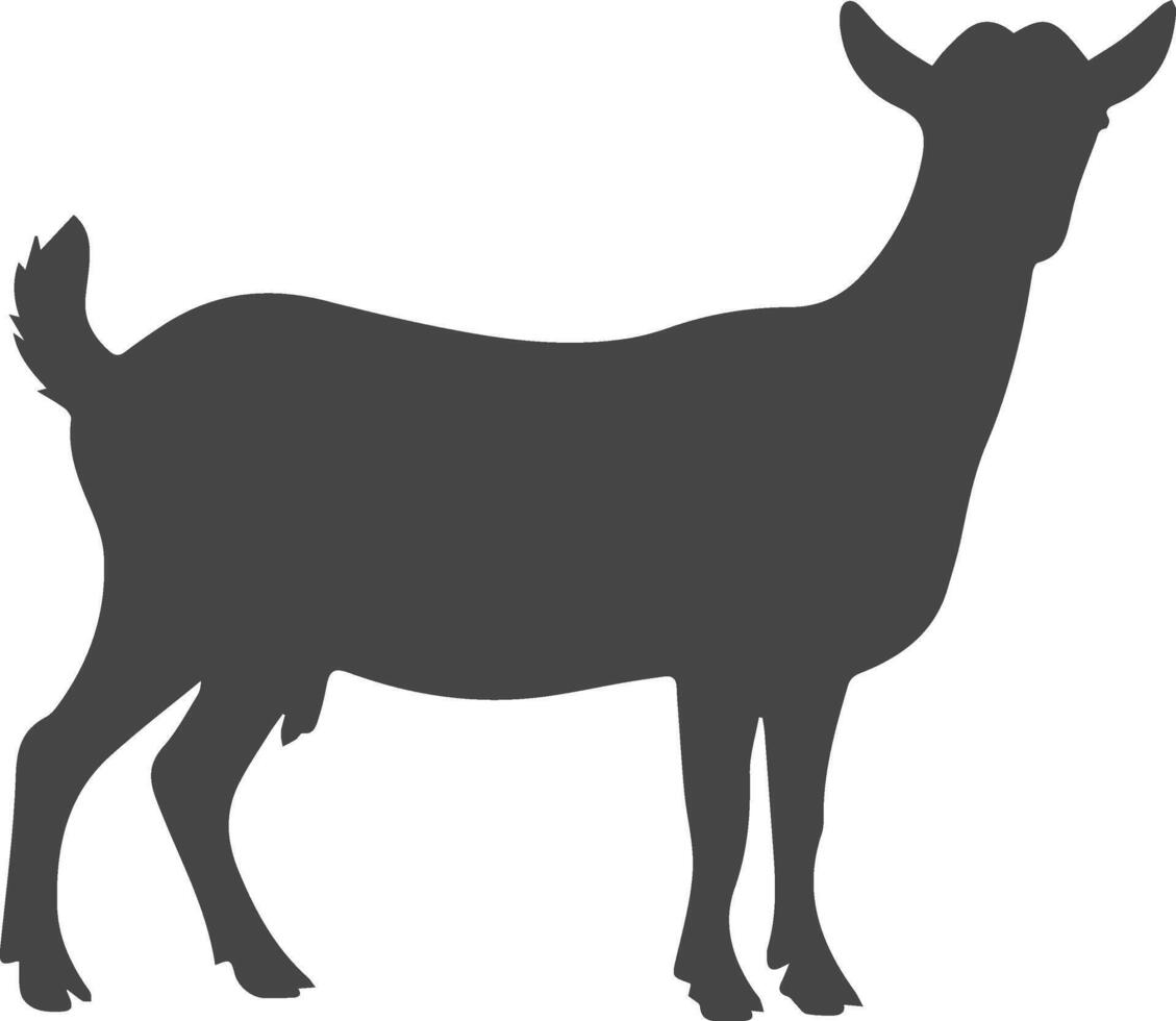 Nigerian Dwarf Goat Vectors Silhouette, Show Goat Silhouette Illustration