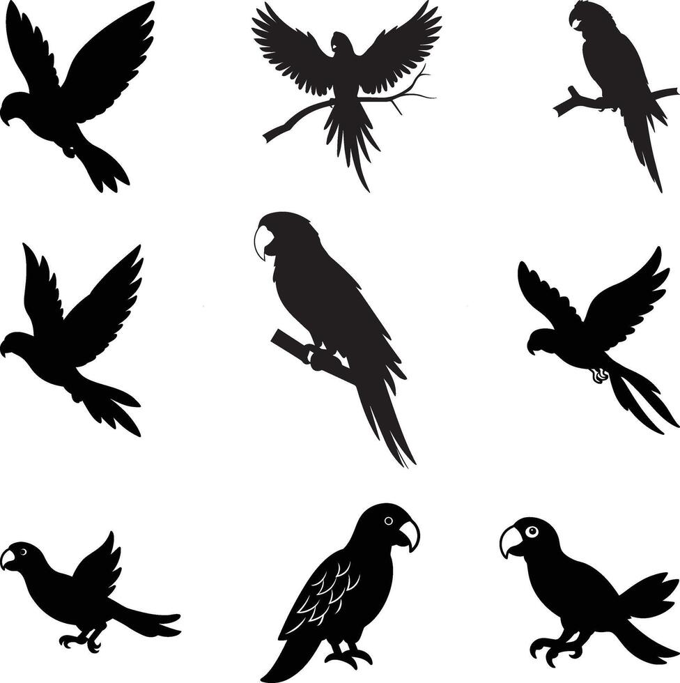 Vectors parrot silhouettes of amazon jungle isolated on white background, Flying Parrot