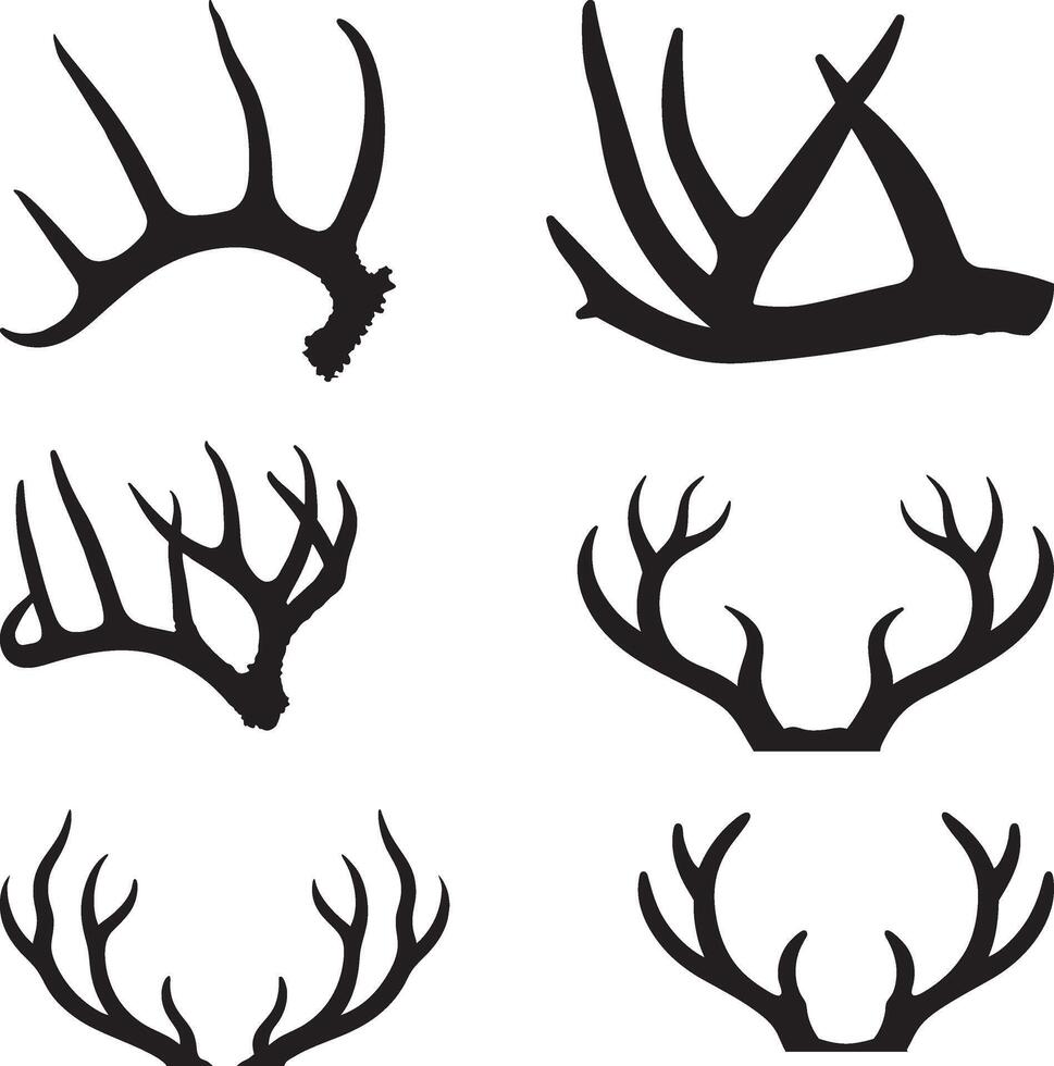 Deer antlers icon Silhouette, Big Buck Deer Antlers mammal, wild animal, wildlife, , illustration in black color, isolated on white background vector