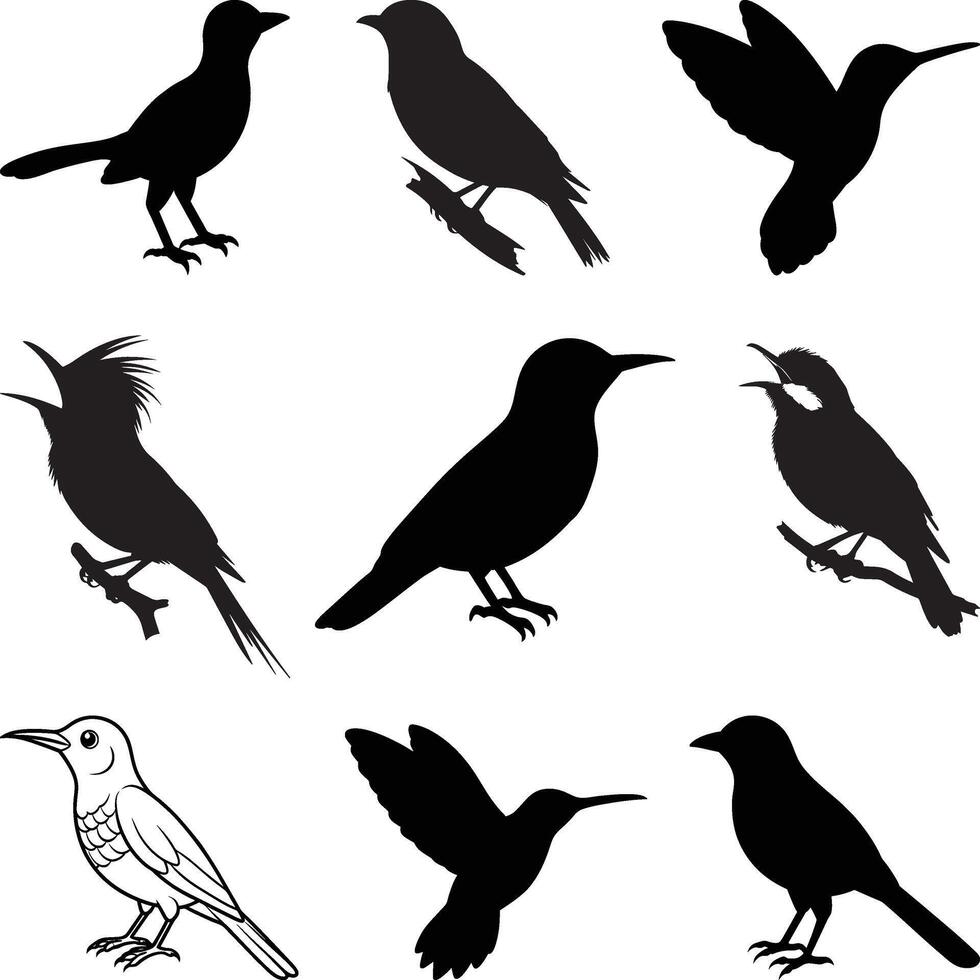 Rufous Hornero Bird silhouette vectors illustration.