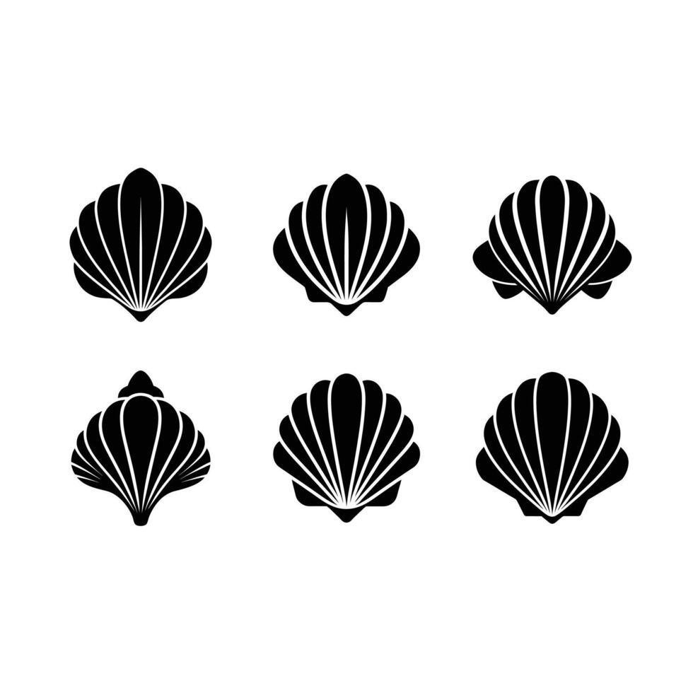 Seashell Graphic Design for Digital Use vector