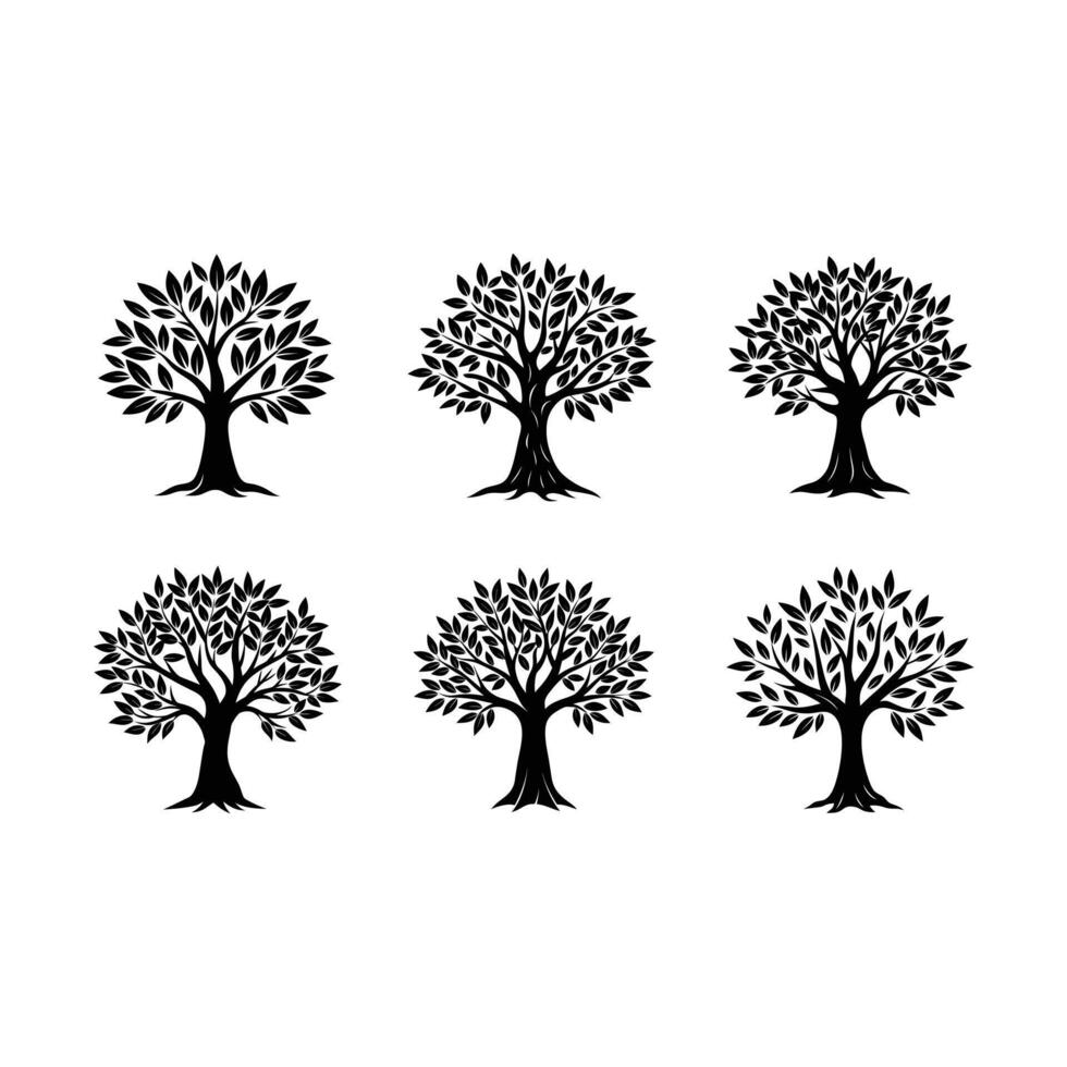 Olive Tree Graphic Design File for Commercial Use vector