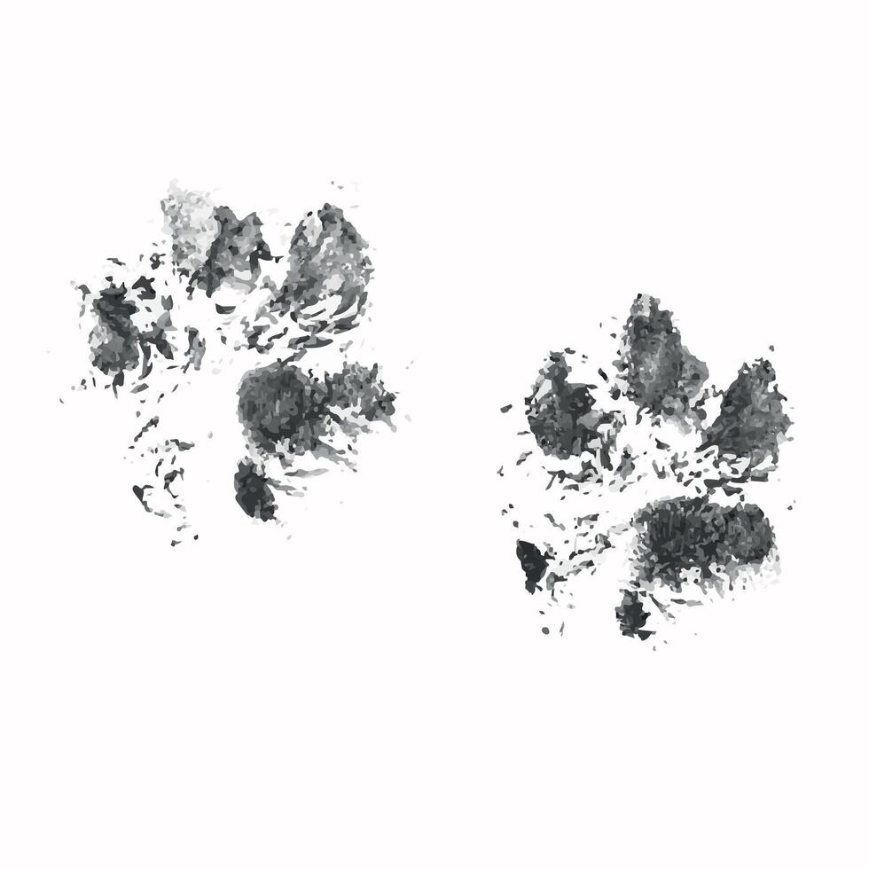 black pet dog grunged footprint paw mark silhouette drawing sign illustration isolated on white background vector