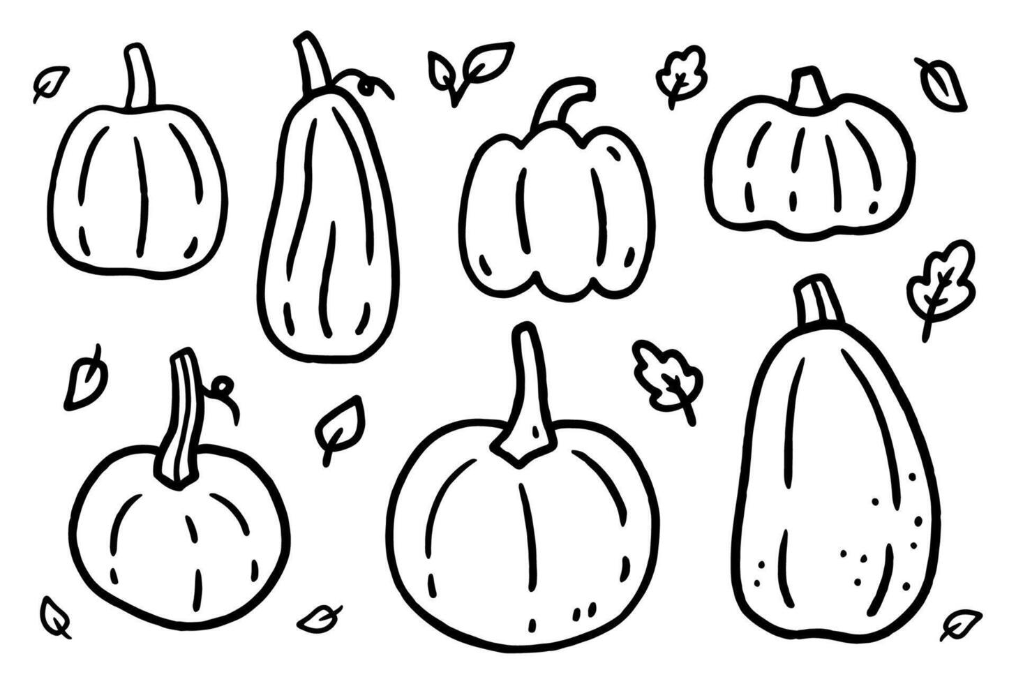 A set of pumpkins isolated on a white background. hand-drawn doodle illustration. Perfect for decorations, menu, logo, various designs. vector