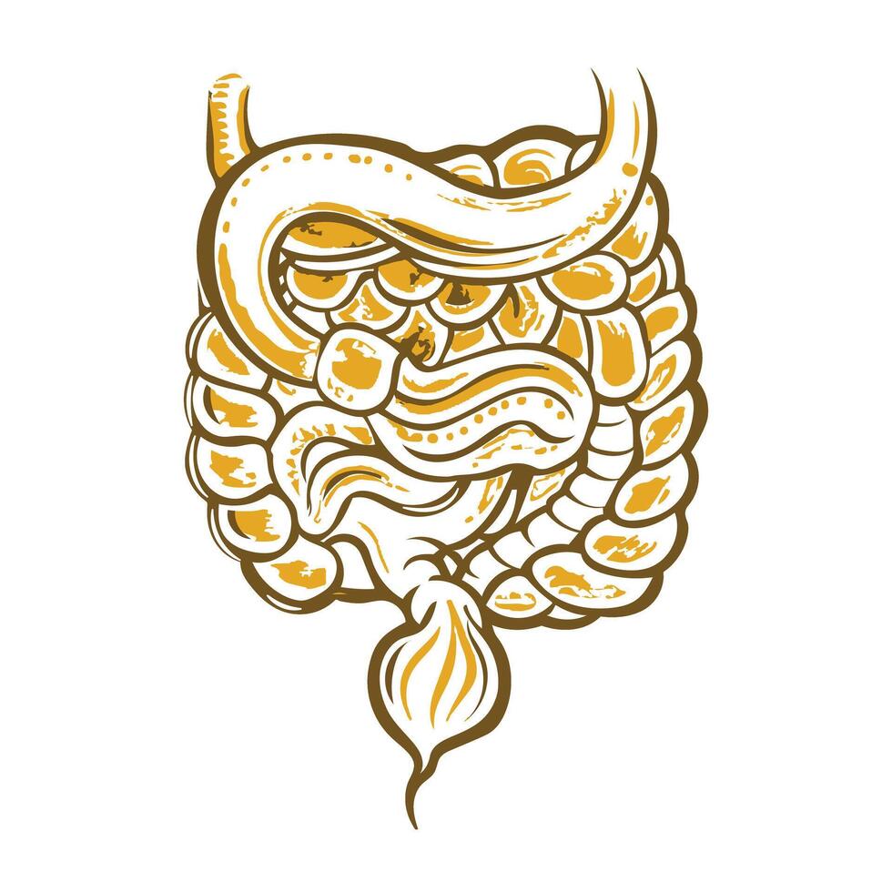 An illustration of gastrointestinal tract in vintage style vector