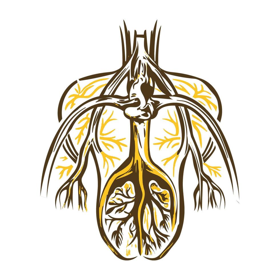 Vintage illustration depicting human body with vein valvesvalves, muscles, body, veins, arteries, biology, science, physiology, medical, anatomy, vintage, , illustration, vector