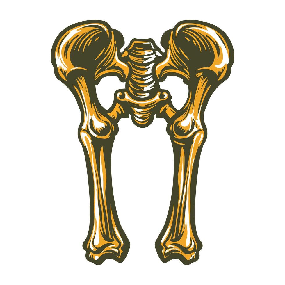 A vintage illustration of femur structure vector