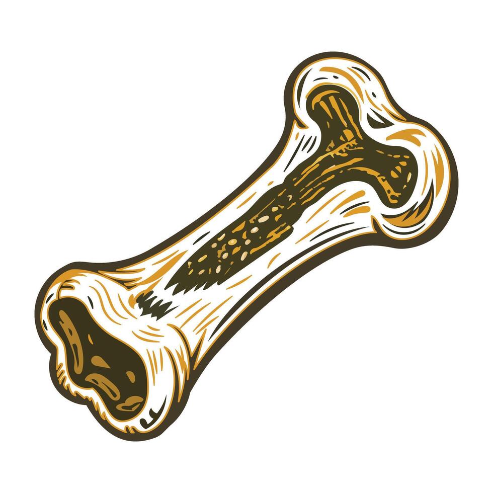 An illustration of human bone in vintage style vector