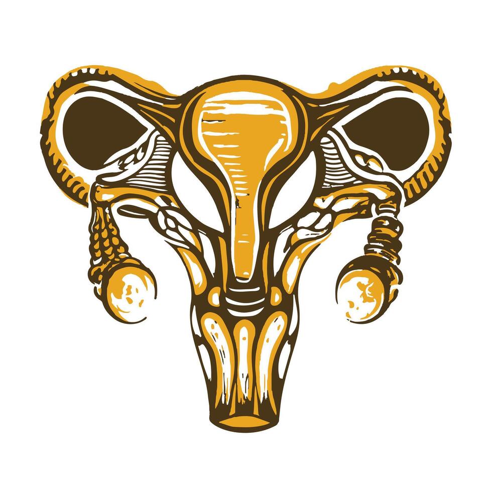 A vintage style illustration of reproductive system vector