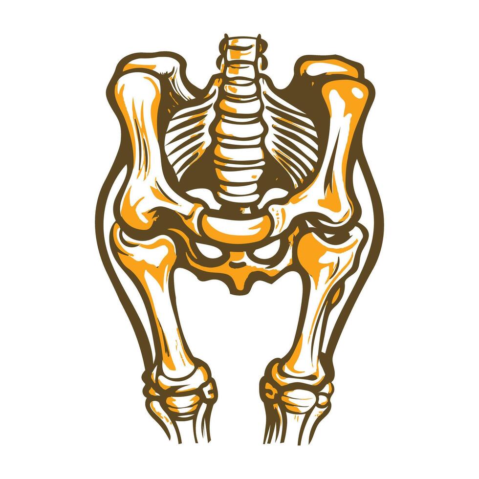 Ligaments illustration designed in vintage style vector