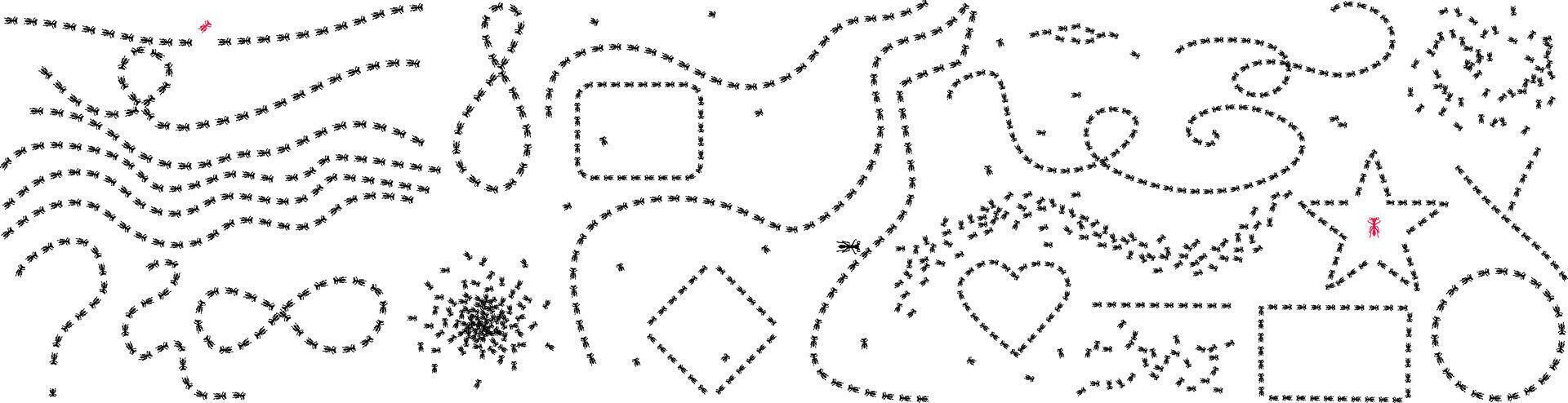 Collection of Ant Trails in Various Shapes. Insect Path Illustration on White Background. illustration in flat simple style. vector