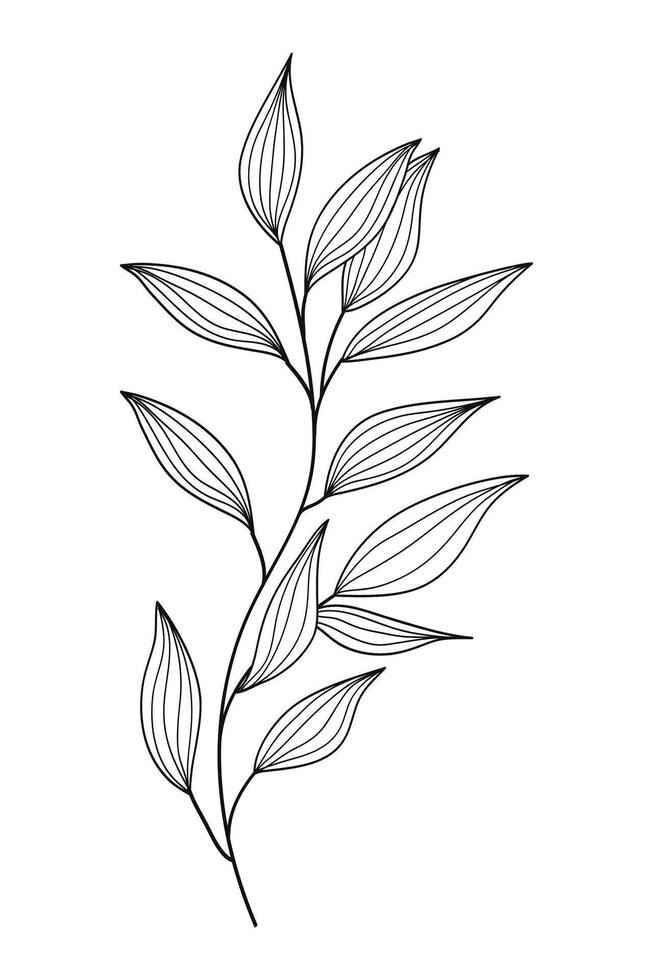 A drawing of a plant with leaves. illustration vector