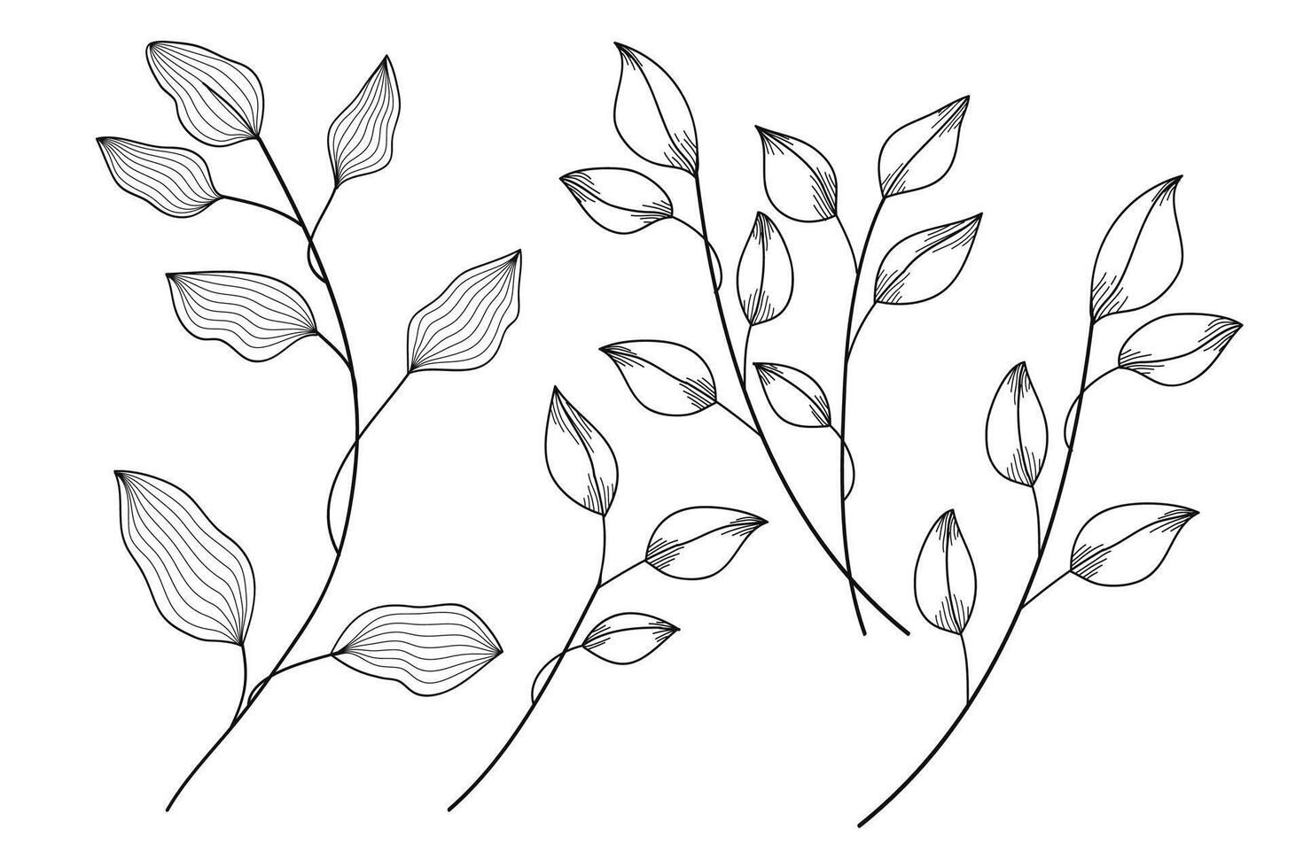Leaves and branches line art hand - drawn Collection. illustration vector