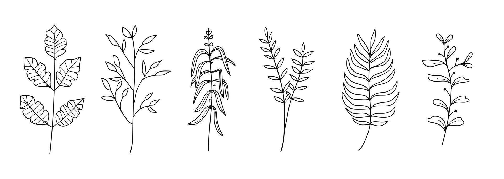 Set of different plants hand drawn . illustration vector