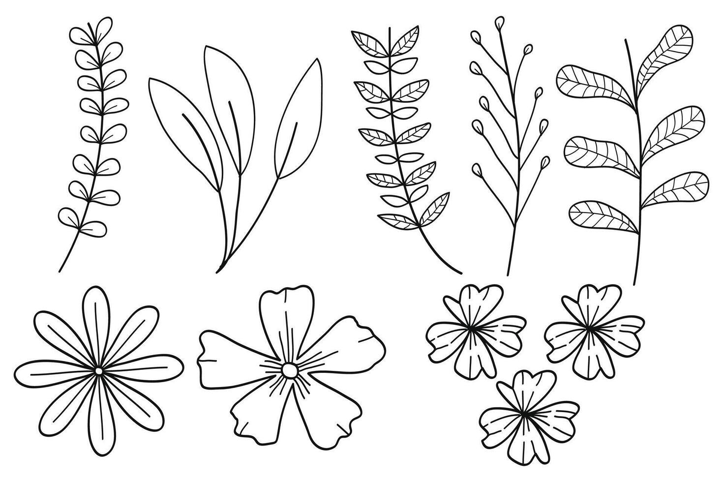 Floral Botanical collection.Included flower ,twigs and leaves drawings. Black and white with line art. vector
