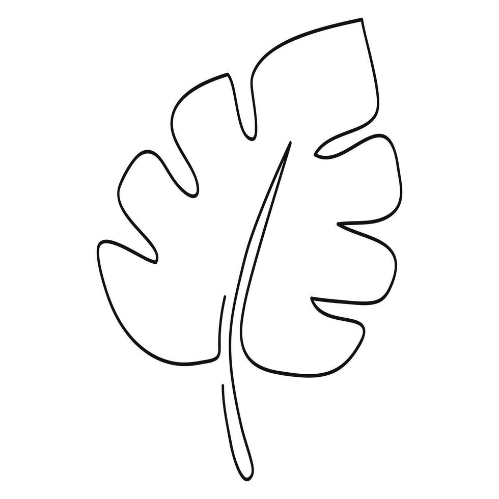 Hand-drawn one continuous line art of tropical monstera leaves. illustration vector
